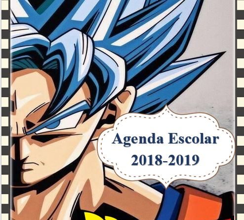 Agenda escolar 2018 Dragon Ball